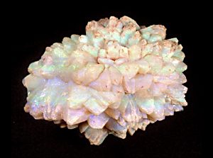 Rare pineapple opal unique to White Cliffs